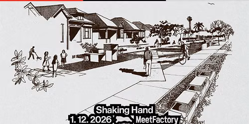 Shaking Hand