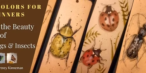 Watercolors for Beginners - Discover the Beauty of Native Bugs & Insects