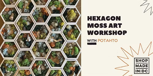 Hexagon Moss Art Workshop with Potahto