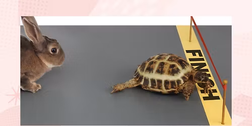 Hare and Tortoise