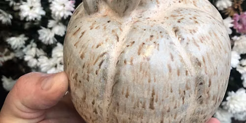 Sculpt'n'Gulp - August 28, 2026 - Pumpkins & Jack-o-Lanterns