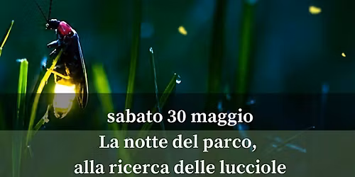 La notte del parco, alla ricerca delle lucciole