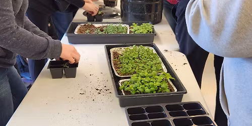 Spring Class - Seed Starting