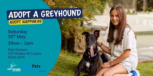 Greyhound Adoption Day @ Pets Domain Casino
