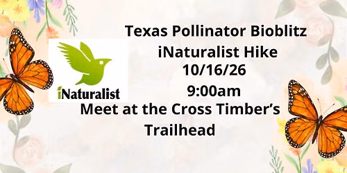 Texas Pollinator Bioblitz Hike