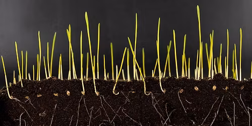 Fenntarthat\u00f3 mez\u0151gazdas\u00e1g a j\u00f6v\u0151\u00e9rt!