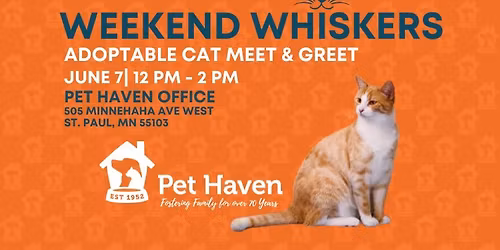 Weekend Whiskers Adoptable Cat Meet and Greet