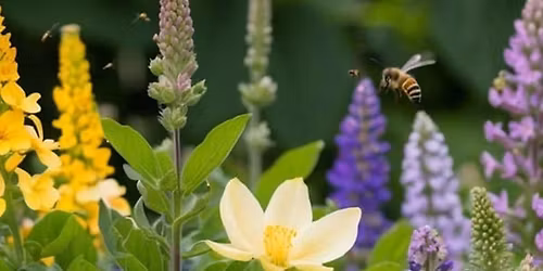 Native Plant Sale