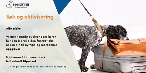 S\u00f8ks- og aktiviseringskurs \u2013 mental trening og moro for hunden din