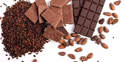 Half Term Chocolate making workshop May 27th