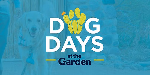 Dog Days of Summer