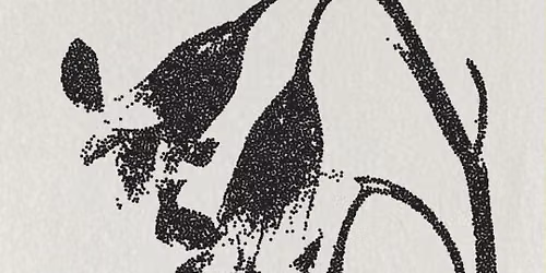 User Ikon \/ Nunya \/ Vampire Cowgirl \/ Snart