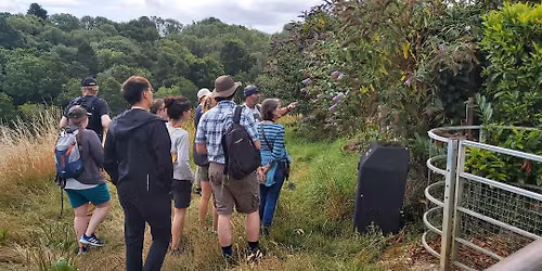 Summer Foraging in Waterside Valley
