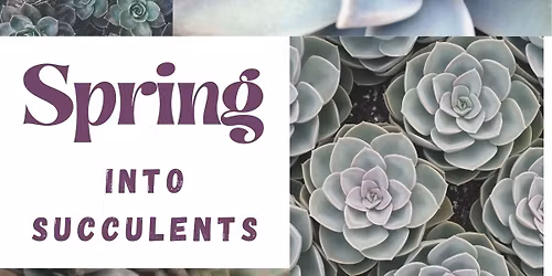 \ud83c\udf3f Spring Into Succulents: Rooted in Community \ud83c\udf31