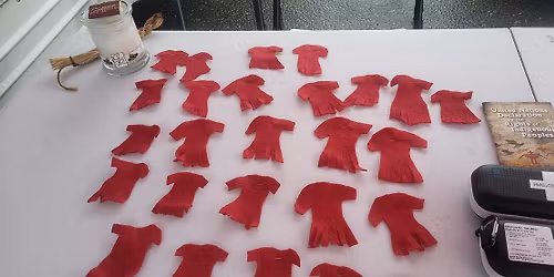 Comox Valley Red Dress Day MMIWG2S+ Awareness Event 