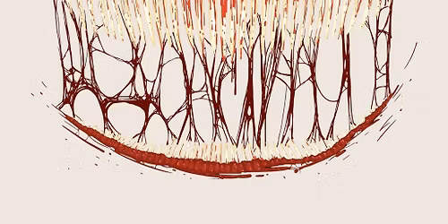 The Psychology of Horror Movies