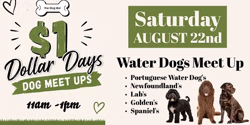 Water Dog Meet Up