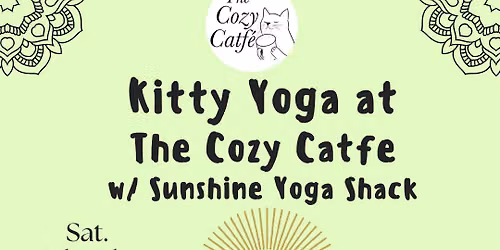 Yoga with Kitties