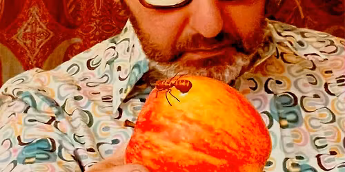 Von Bosch und stillen B\u00fcschen