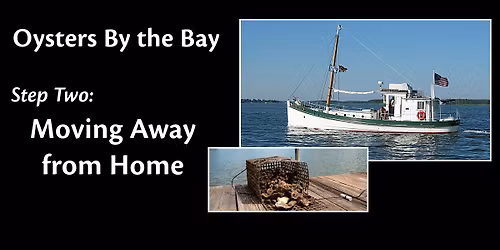 Oysters by the Bay- Step 2: Moving Away from Home