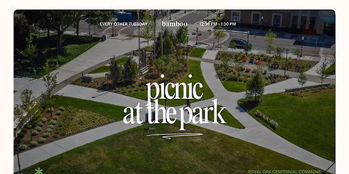 Picnic at the Park