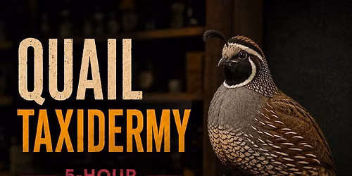Taxidermy Class Quail