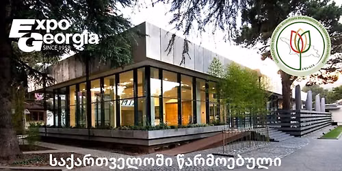 \u10e1\u10d0\u10e5\u10d0\u10e0\u10d7\u10d5\u10d4\u10da\u10dd\u10e8\u10d8 \u10ec\u10d0\u10e0\u10db\u10dd\u10d4\u10d1\u10e3\u10da\u10d8 \u10e1\u10d0\u10d7\u10d0\u10d8\u10d2\u10e3\u10da\u10d4 \u10e7\u10d5\u10d0\u10d5\u10d8\u10da\u10d4\u10d1\u10d8\u10e1 \u10e4\u10d4\u10e1\u10e2\u10d8\u10d5\u10d0\u10da\u10d8
