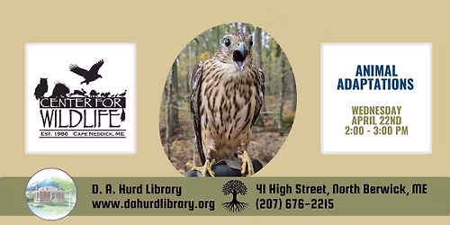 Animal Adaptations with the Center For Wildlife at the D. A. Hurd Library