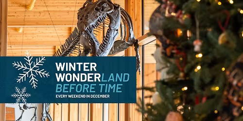 Winter Wonderland Before Time