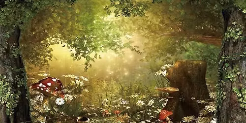 Fairies in the Forest CONTENT SESSIONS FOR PHOTOGRAPHERS 