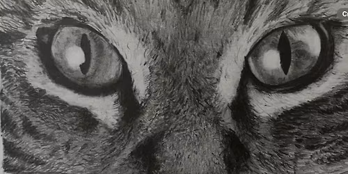 Drink and Draw with Sarah 