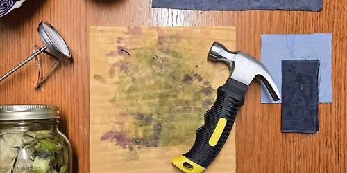 Natural Dye Workshop