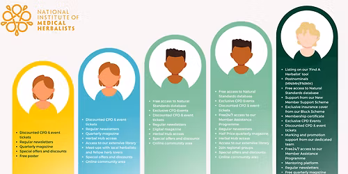 Different Font at Memoire at Encore Boston Harbor