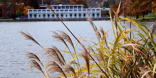 Panel discussion: 'Leading the Change: Women Shaping a Sustainable Future.'