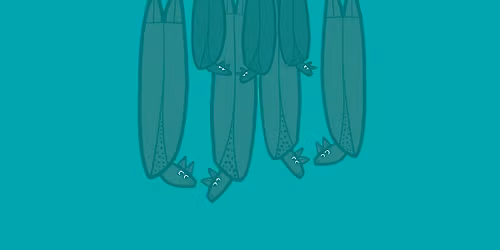 Storytime - Wednesday