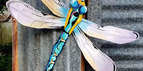 DRAGONFLY DIY WORKSHOP - 3\/24