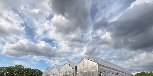 November 29th Holiday Market