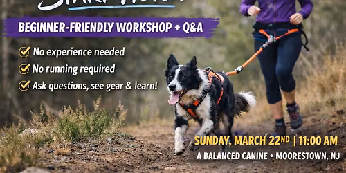 Introduction to Canicross