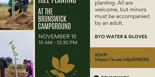 Tree Planting at Brunswick Campground