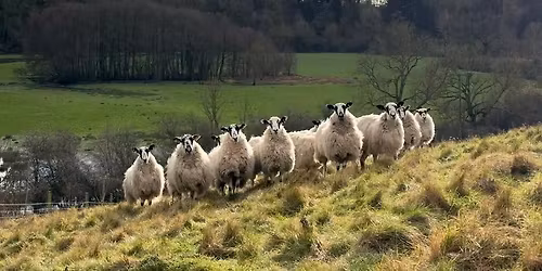 Armchair Talks at Blenheim 