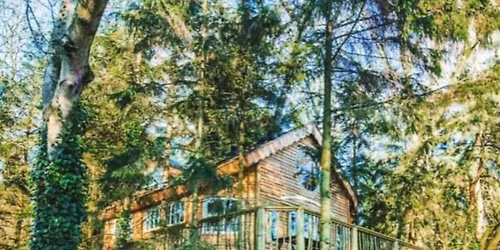 Treehouse Well Being Meditation Retreat, Norfolk