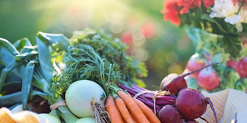 Growing summer vegetables