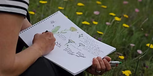 Beginners Nature Journaling