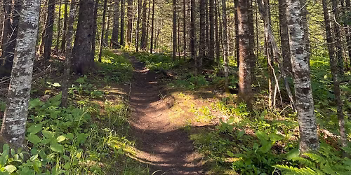 Little Rangers Camp 5-7