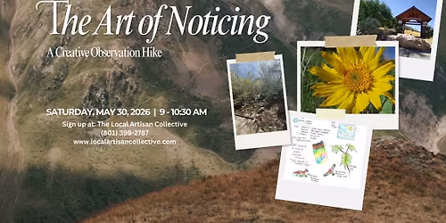 The Art of Noticing: A Creative Observation Hike