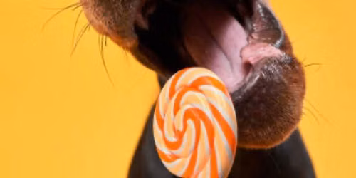 Lollies for Pops! \ud83c\udf6d