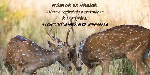 K\u00e1inok \u00e9s \u00c1belek - Harc \u00e9s sz\u00f6vets\u00e9g a szakm\u00e1ban \u00e9s a ter\u00e1pi\u00e1ban. A Pszichoter\u00e1pia 20. konferenci\u00e1ja