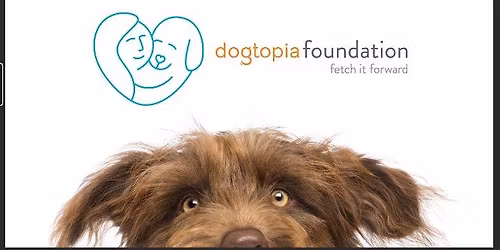 Foundation Friday * March 20