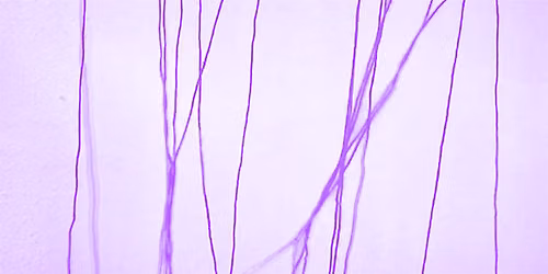 I cannot decolonize my body. Digital Attunement