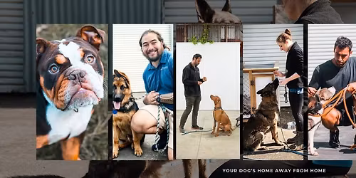 Good Dog Summer Community Walk